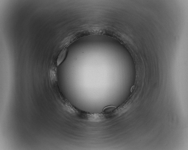 X0000116480432200912161256