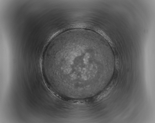 X0000116480434200912161255