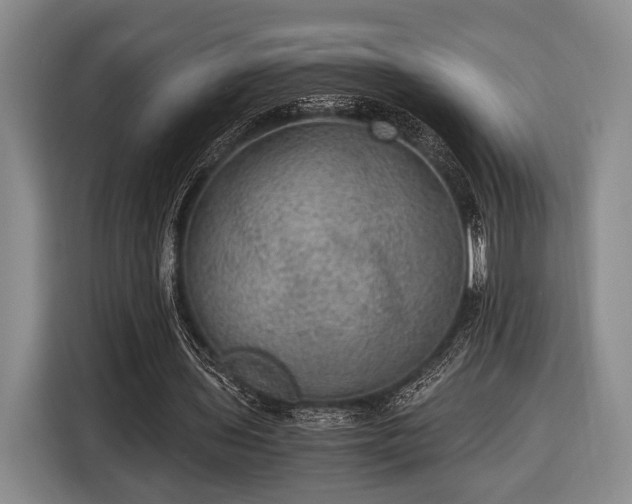 X0000116480435200912161255