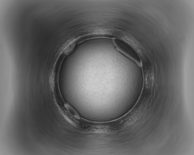 X0000116480436200912161255