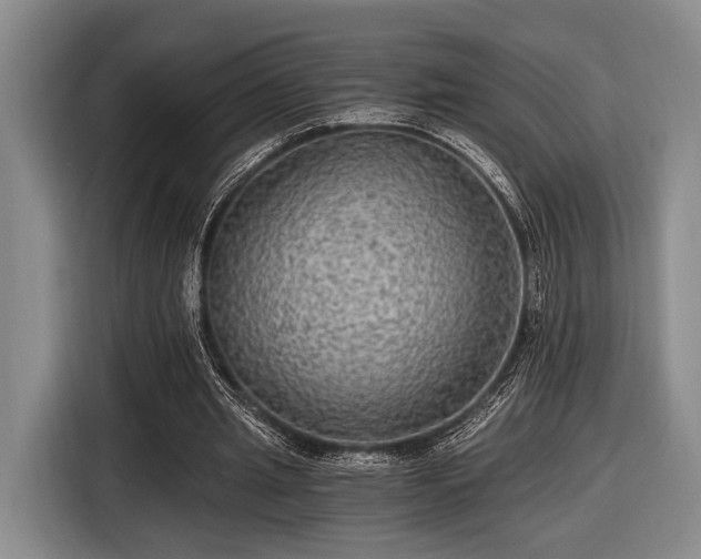 X0000116480437200912161255