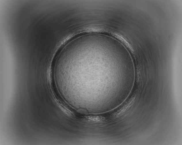 X0000116480439200912161255