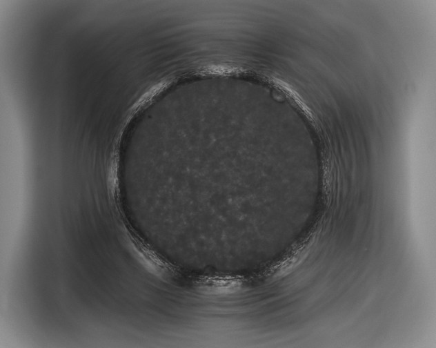 X0000116480443200912161255