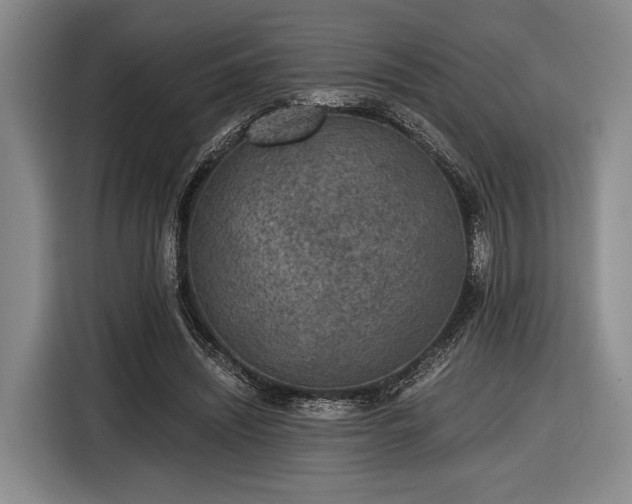 X0000116480444200912161255