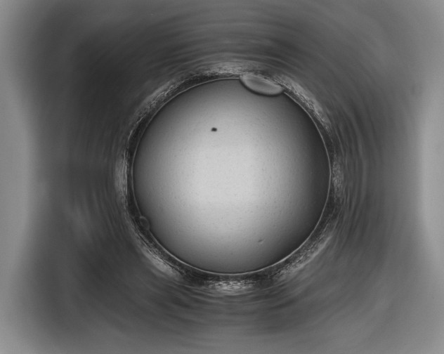 X0000116480445200912161255