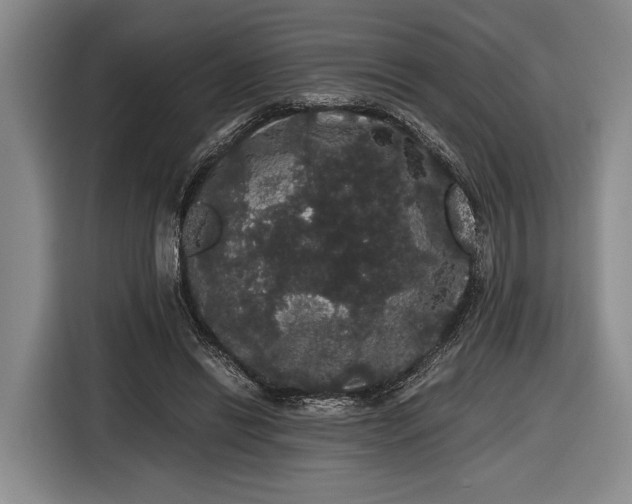 X0000116480446200912161255