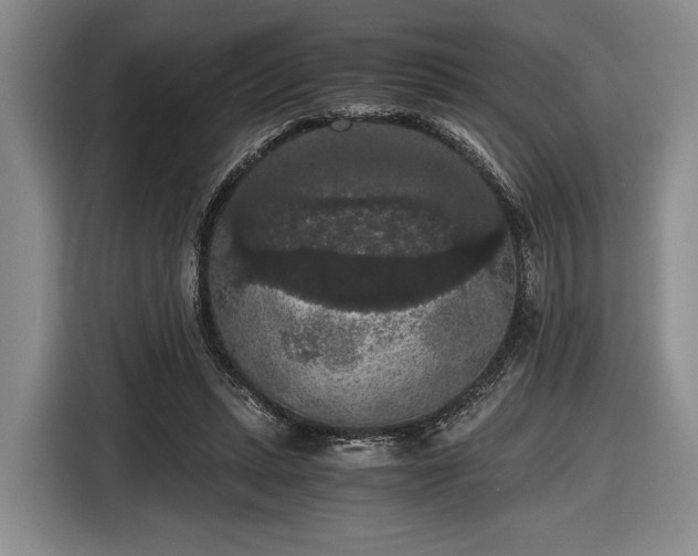 X0000116480447200912161255