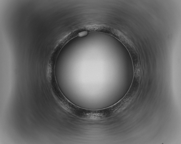 X0000116480448200912161255