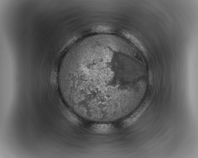 X0000116480449200912161255