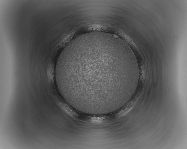 X0000116480450200912161255