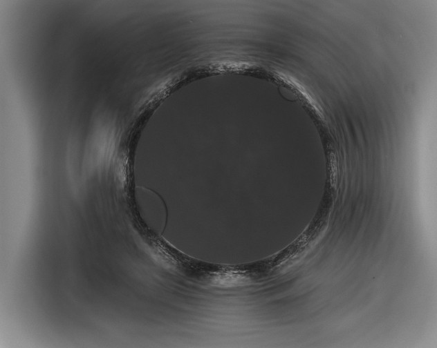 X0000116480451200912161255