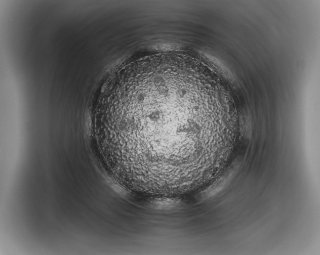 X0000116480453200912161255