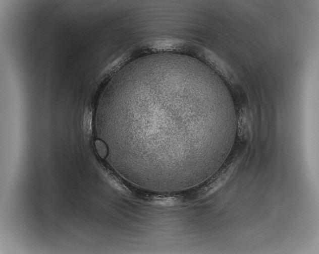 X0000116480454200912161255