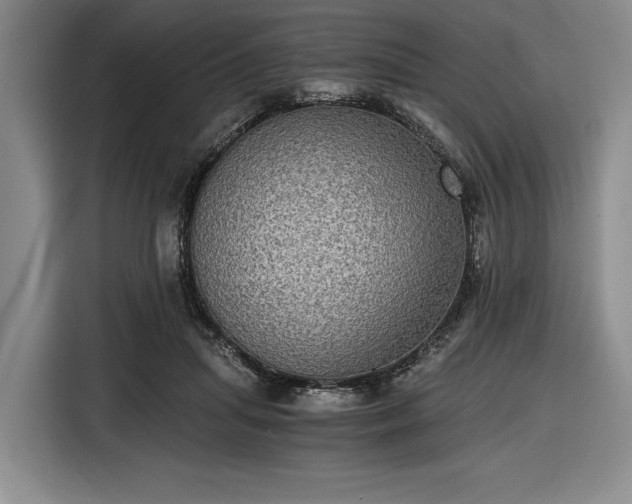 X0000116480455200912161255