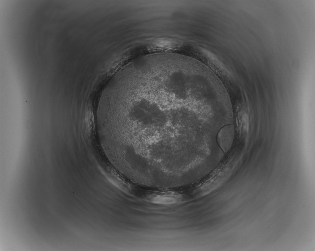 X0000116480459200912161255