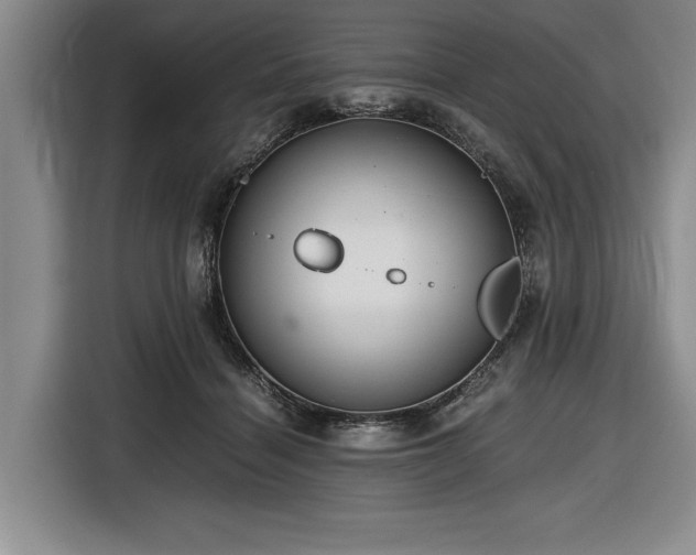 X0000116480460200912161255