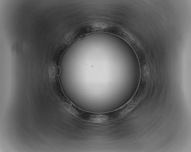 X0000116480463200912161255