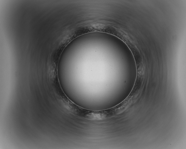 X0000116480464200912161255