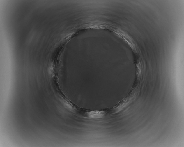 X0000116480465200912161255