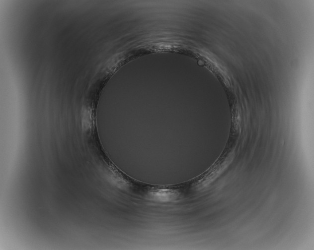 X0000116480467200912161256