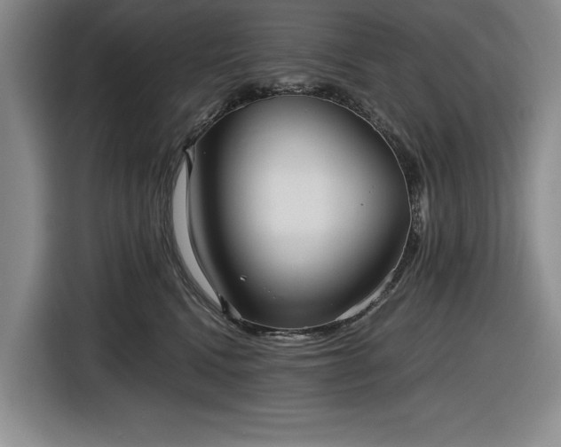 X0000116480472200912161256