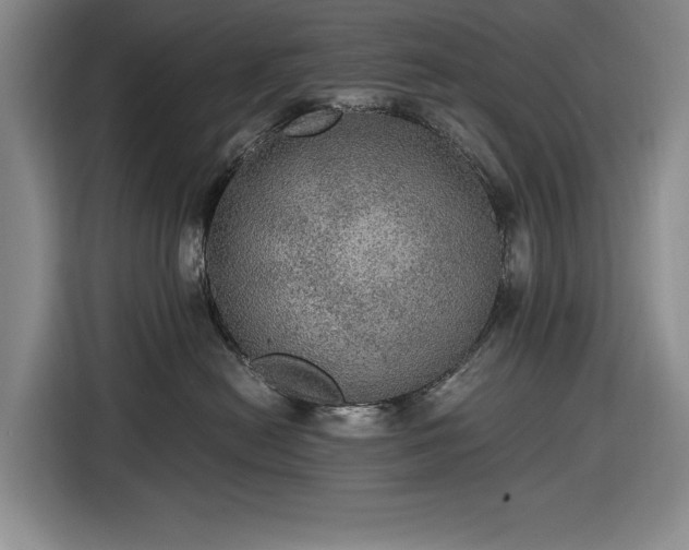 X0000116480478200912161256