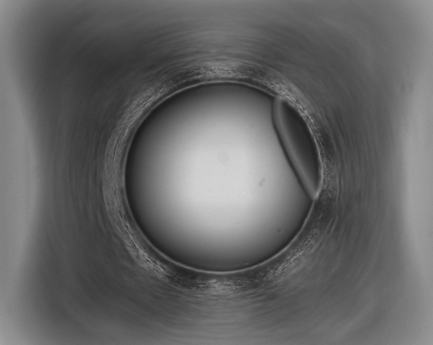 X0000116480481200912161255