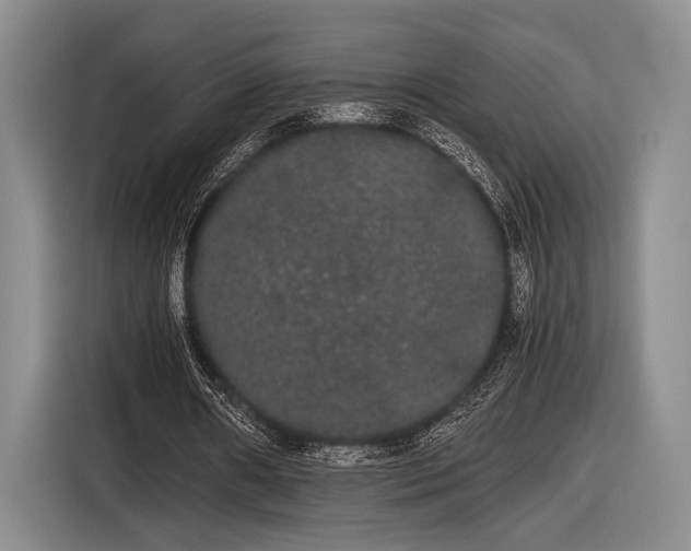 X0000116480482200912161255