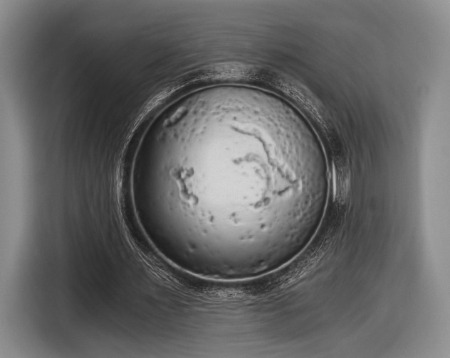 X0000116480483200912161255