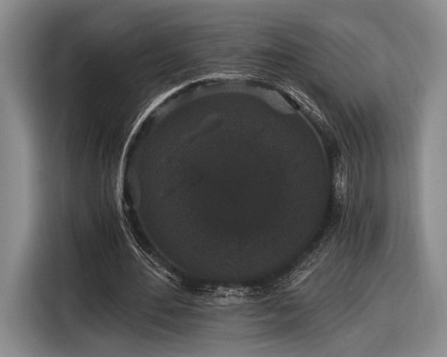 X0000116480484200912161255