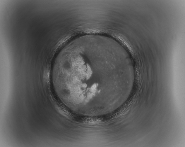 X0000116480491200912161255