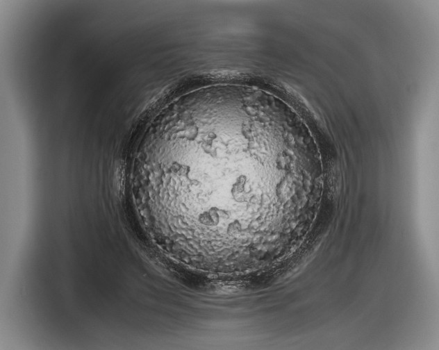 X0000116480495200912161255