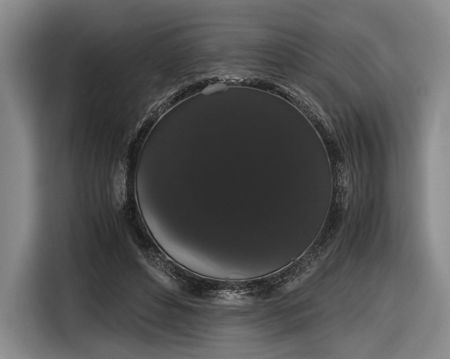 X0000116480496200912161255