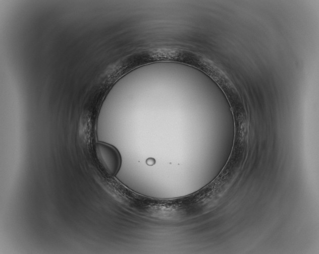 X0000116480498200912161255