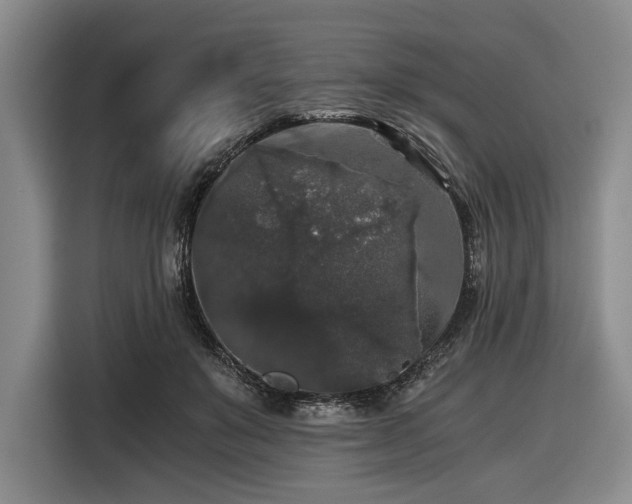 X0000116480503200912161255