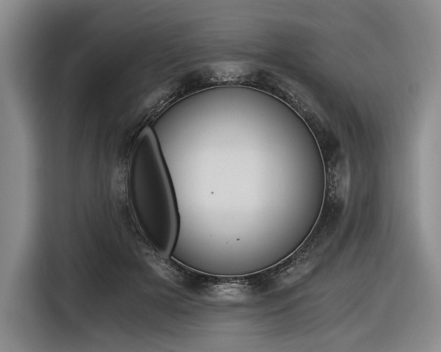 X0000116480505200912161255