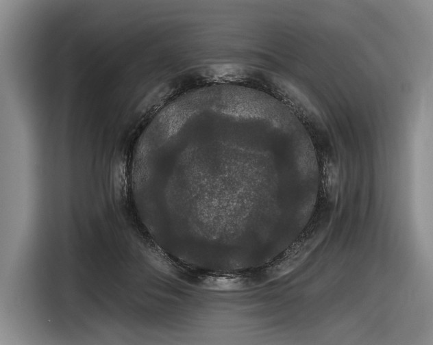 X0000116480506200912161255