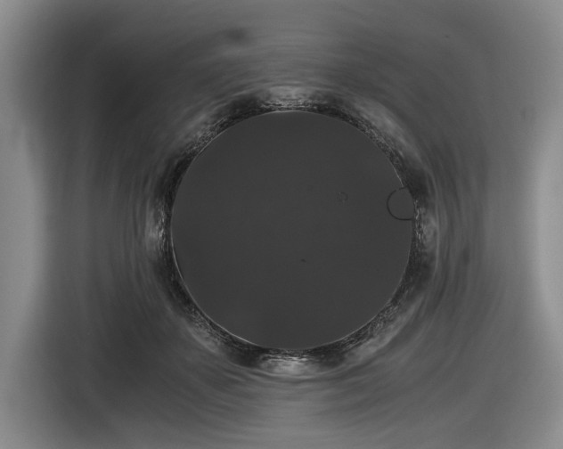 X0000116480507200912161255