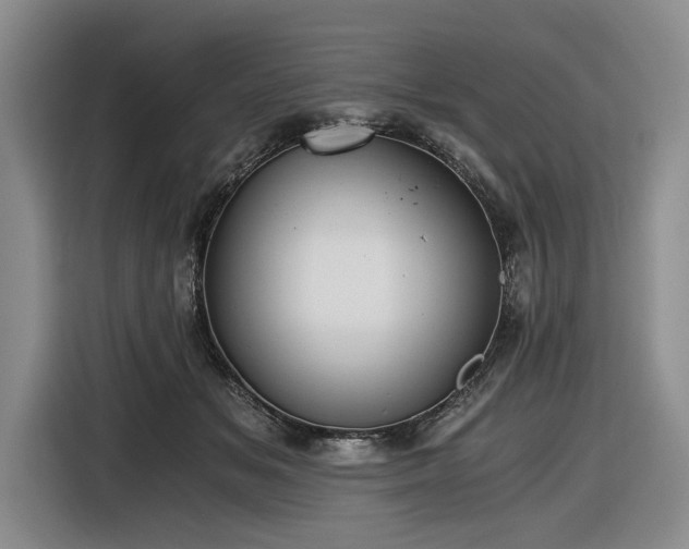 X0000116480509200912161255