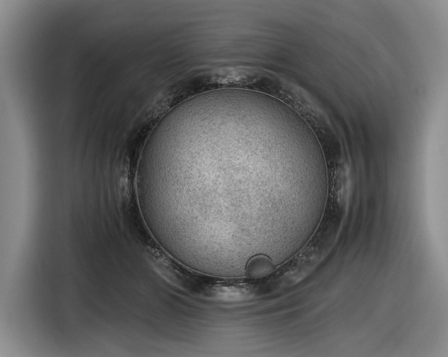 X0000116480510200912161255