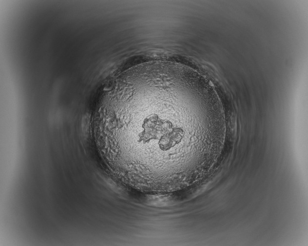 X0000116480511200912161255