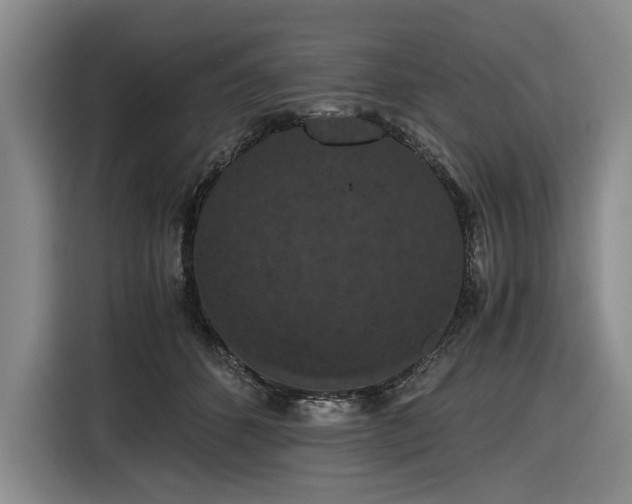 X0000116480512200912161255