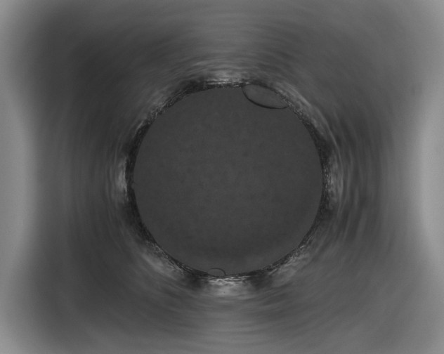 X0000116480516200912161255