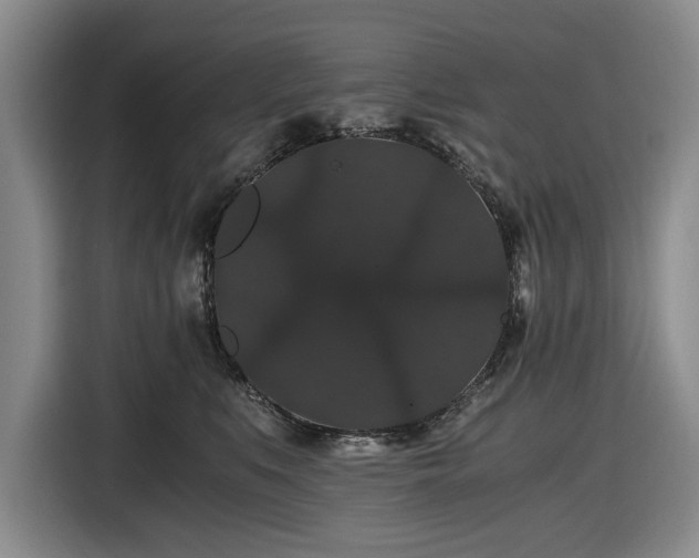 X0000116480519200912161255