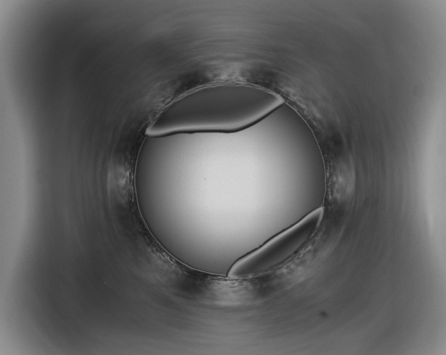 X0000116480521200912161255