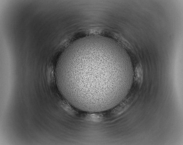 X0000116480522200912161255