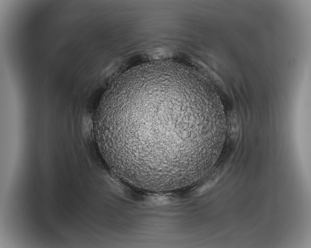 X0000116480523200912161255