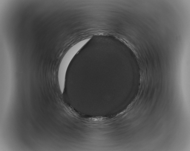 X0000116480524200912161255