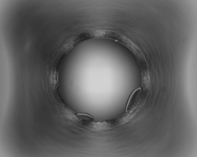 X0000116480525200912161254