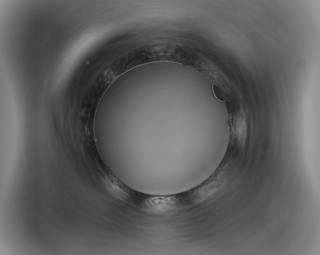 X0000116480526200912161254